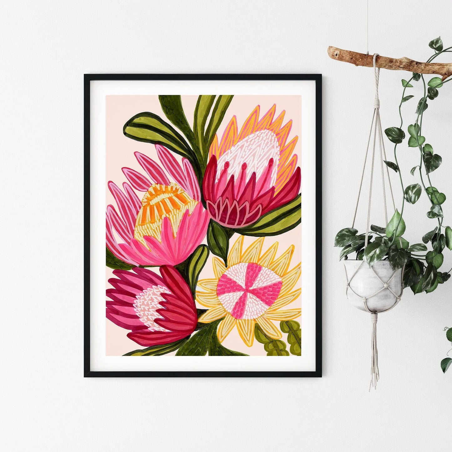 King Red Protea Flowers Wall Art Giclee Print Kirsten Katz